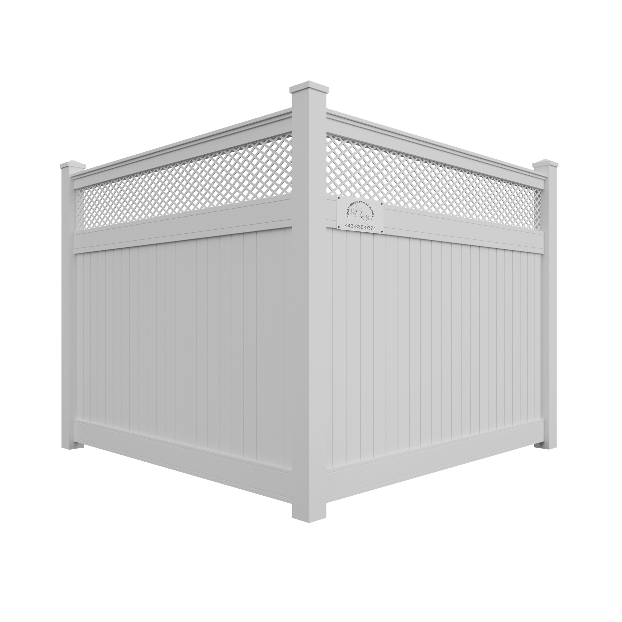 Dubon Fencing 3D Image