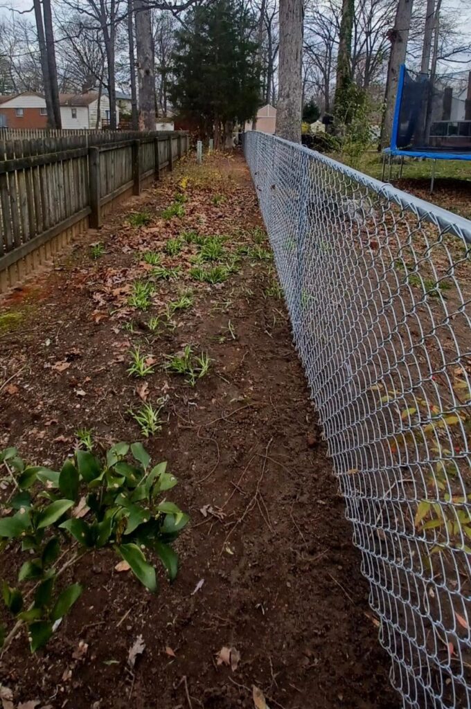 Galvanized chain link fence running along a wooded residential property line in Dinwiddie, VA.